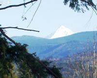 37901 NE 17th Street Washougal WA